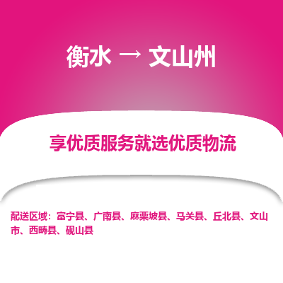 衡水到文山州物流公司-衡水至文山州专线专业物流品牌，值得信赖